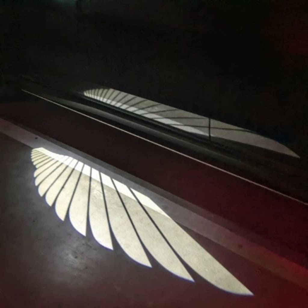 Angel Wings Puddle Lights Universal